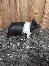 Load image into Gallery viewer, Breed Painted Steer, Heifer, Barrow, Gilt or Rabbit Piggy Bank, Hand Painted Breeds